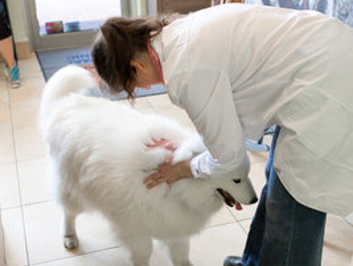 Greeting a patient